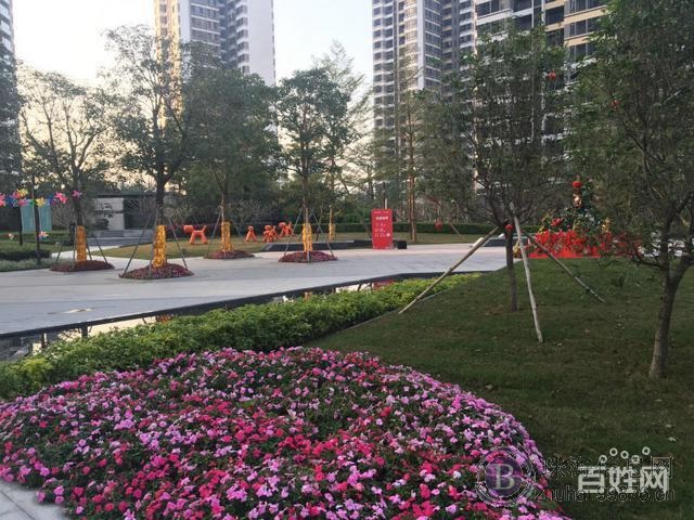 湖心路时代香海彼岸,75平两房无遮挡南向,随时看房