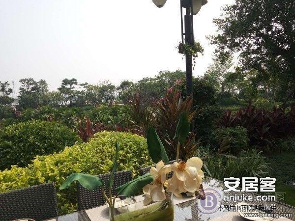 金地格林伯乐 精装三房南北通透 使用率最高 重点双